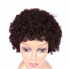 Short Afro Wigs 100% Human Hair Wig Afro Kinky Curly Natural Looking None Lace
