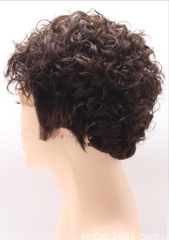 Dark Brown Short Curly Real Human Hair Wig None Lace Wigs Pixie Wigs Daily Use