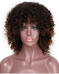 Afro Wig Synthetic Kinky Curly Dark Brown Wig With Bangs 2 Tone Brown Mixed Blonde Color