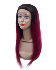 Remy Human Hair Straight 4x4 Lace Closure Wig 8-26inch 1B/99J Color