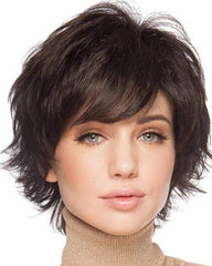 Natural Short Wigs for Women Human Hair Dark Brown