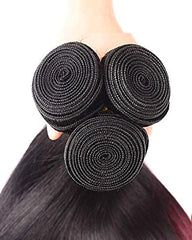Remy Brazilian Human Hair Bundles Weaves with 4x4 Lace Closure Straight Hair 1B/99J Color