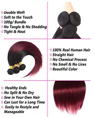 Remy Brazilian Human Hair Bundles Weaves with 4x4 Lace Closure Straight Hair 1B/99J Color