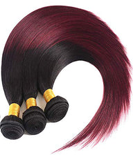 Remy Brazilian Human Hair Bundles Weaves with 4x4 Lace Closure Straight Hair 1B/99J Color