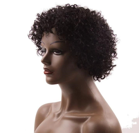 Brazilian Short Afro Deep Curly Real Human Hair Wigs