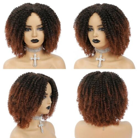 Womens Short Afro Kinky Curly Wigs Ombre Brown Synthetic Middle Part Nature Hair