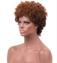Afro Women's Short Pixie Cut Two Tone Brown Curly Hair Synthetic Fashion Wigs