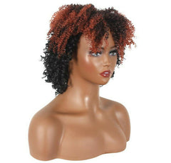 Short Afro Curly Wigs for Black Women Kinky Curly Fluffy Hair Wig Ombre Brown