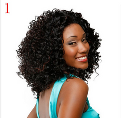 Short Curly Afro Wigs Kinky Curly Wigs Synthetic Soft Colorful Heat Resistant for Women