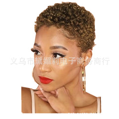 Female Pixie Cut Short Afro Deep Curly Wig Brown Wigs Synthetic Natural