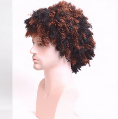 Short Curly Afro Wigs Ombre Brown Afro Kinky Curly Hair Wig with Bangs For MEN