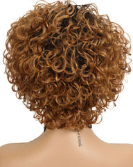 Ombre Remy Short Human Hair Curly Wig None Lace Hair Wig 12inch 1B/27 Color