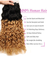 Remy Brazilian Ombre Human Hair 3 Bundles Weaves with 4x4 Lace Closure Water Wave Hair 1B/27 Color