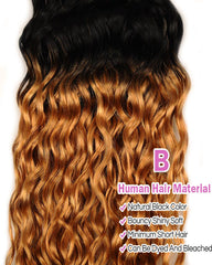 Remy Brazilian Ombre Human Hair 3 Bundles Weaves with 4x4 Lace Closure Water Wave Hair 1B/27 Color
