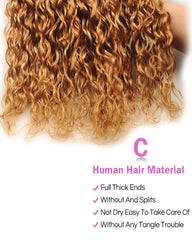 Remy Brazilian Ombre Human Hair 3 Bundles Weaves with 4x4 Lace Closure Water Wave Hair 1B/27 Color