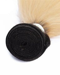 Ombre Remy Braziian Straight Human Hair 3 Bundles 8-28inch 1B/613 Color