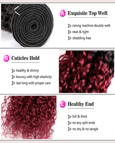 Remy Brazilian Human Hair Bundles Weaves with 4x4 Lace Closure Curly Wave Hair 1B/99J Color