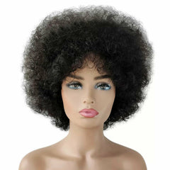 Fashion Sexy Afro Kinky Curly Wig Synthetic Heat Resistant Short Curly Hair Wigs