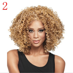 Short Curly Afro Wigs Kinky Curly Wigs Synthetic Soft Colorful Heat Resistant for Women