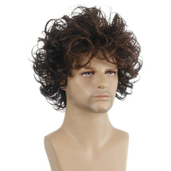 Men's Black brown Short Wigs Natural Curly Synthetic Hair Cosplay Party Show Wig