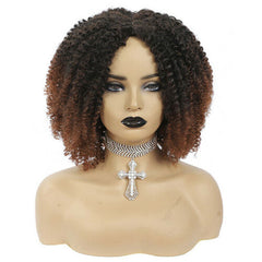 Womens Short Afro Kinky Curly Wigs Ombre Brown Synthetic Middle Part Nature Hair