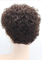 Dark Brown Short Curly Real Human Hair Wig None Lace Wigs Pixie Wigs Daily Use