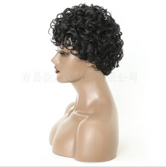 Women Wig Black Short Full Wavy Wig Fashion Natural Kinky Curly Hair Wigs