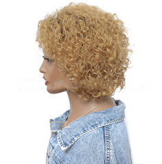 Blonde Curly Wavy Human hair Wigs Natural Full Wig Glueless Hair Wigs