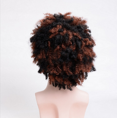 Short Curly Afro Wigs Ombre Brown Afro Kinky Curly Hair Wig with Bangs For MEN