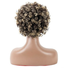 Short Mixed Blonde Afro Kinkly Curly Synthetic Wigs For Women African Hairstyles