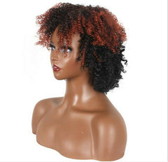 Short Afro Curly Wigs for Black Women Kinky Curly Fluffy Hair Wig Ombre Brown