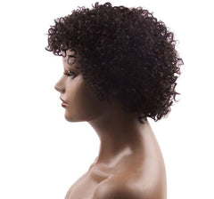 Brazilian Short Afro Deep Curly Real Human Hair Wigs