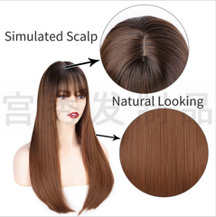 Brown Straight Wigs with Bangs Synthetic Wigs for Women Daily Natural Hair Wig
