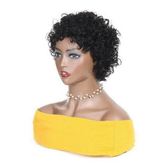 100% Human Hair Wig Short Afro Curly Wigs for Black Women Brazilian Virgin Hair