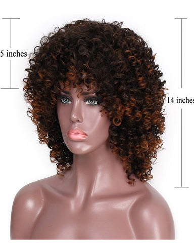 Afro Wig Synthetic Kinky Curly Dark Brown Wig With Bangs 2 Tone Brown Mixed Blonde Color