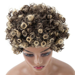 Short Mixed Blonde Afro Kinkly Curly Synthetic Wigs For Women African Hairstyles