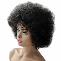 Fashion Sexy Afro Kinky Curly Wig Synthetic Heat Resistant Short Curly Hair Wigs