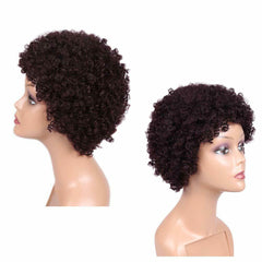 Short Afro Wigs 100% Human Hair Wig Afro Kinky Curly Natural Looking None Lace