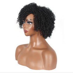 Short Afro Kinky Curly Synthetic Hair None Lace Wigs For Black Women 8 inch