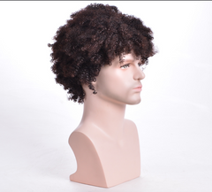 Handsome Men's Afro Kinky Curly Short Synthetic Wig Black Wig for Fashion Party