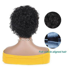 100% Human Hair Wig Short Afro Curly Wigs for Black Women Brazilian Virgin Hair