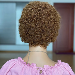 Pixie Cut Wig Short Curly Human Hair Wigs No Lace Heat Safe Brown For Woman Wigs