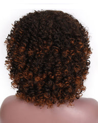 Afro Wig Synthetic Kinky Curly Dark Brown Wig With Bangs 2 Tone Brown Mixed Blonde Color