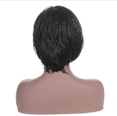 Short Box Braided Hair Wigs Synthetic Twist Braids Wig Soft Glueless With Bangs