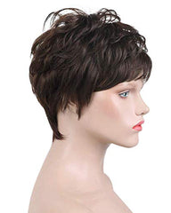 Natural Short Wigs for Women Human Hair Dark Brown
