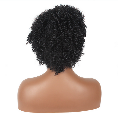 Short Afro Kinky Curly Synthetic Hair None Lace Wigs For Black Women 8 inch