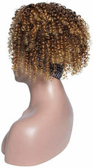 Afro Synthetic Wig Kinky Curly Drawstring African American Wig with Headband