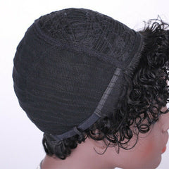 100% Human Hair Wig Short Afro Curly Wigs for Black Women Brazilian Virgin Hair