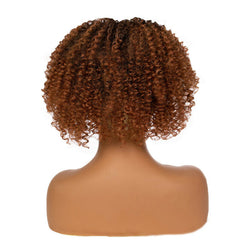 Women's Fiber Short Afro Curly Blonde Brown Mixed Headband Wig Headcrafts Soft