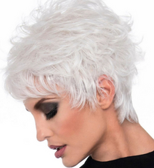 Curly Silver White Synthetic for Women Wigs Short Wigs Heat Resistant Natural